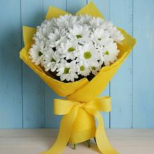 Букет цветов из:  Хризантемы #REPLACE_PRED# Ассоколае