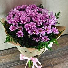 Букет цветов из:  Хризантемы #REPLACE_PRED# Ассоколае