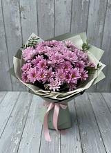 Букет цветов из:  Хризантемы в Ассоколае