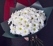 Букет цветов из:  Хризантемы #REPLACE_PRED# Ассоколае