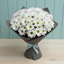 Букет цветов из:  Хризантемы в Ассоколае