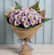 Букет цветов из:  Хризантемы в Ассоколае