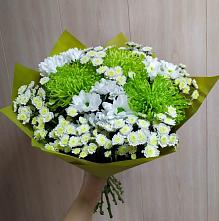 Букет цветов из:  Хризантемы #REPLACE_PRED# Ассоколае