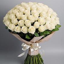 Букет 101 беля роза Белоснежка в Ассоколае
