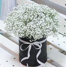Цветочная композиция из Гипсофила в шляпной коробке #REPLACE_PRED# Ассоколае
