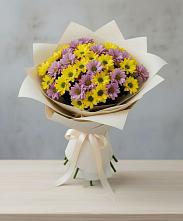 Букет цветов из:  Хризантемы в Ассоколае