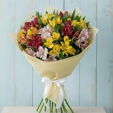 Букет цветов из:  Альстромерии в Ассоколае