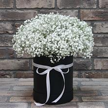 Цветочная композиция из Гипсофила в шляпной коробке в Ассоколае